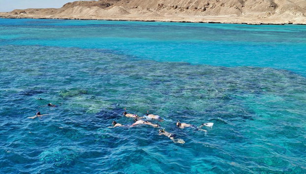 Snorkelling in the Red Sea - Cruise - Photo 5